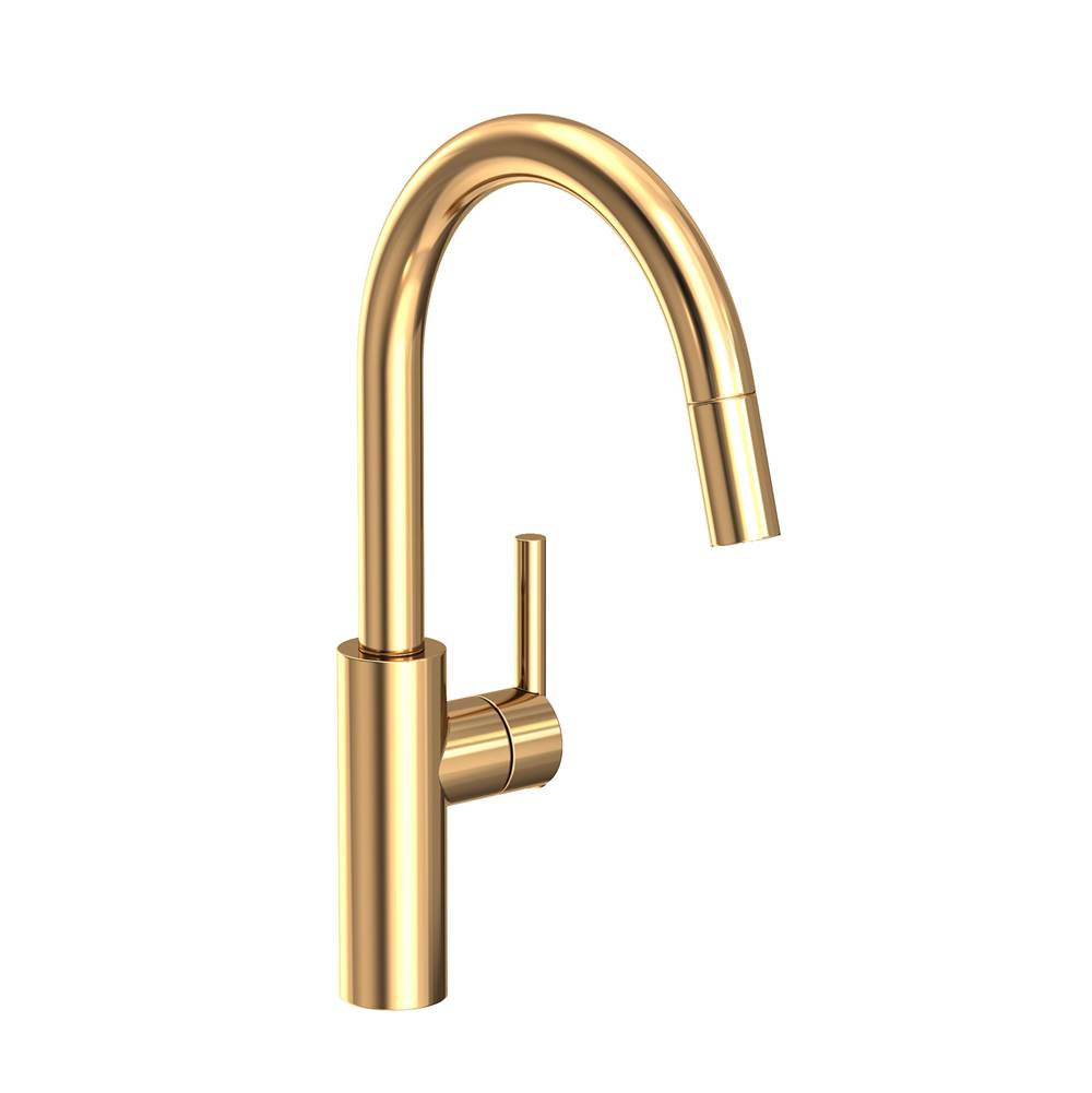 Newport Brass East Linear Pull-down Kitchen Faucet
